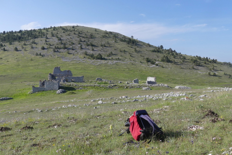 Orchidee a Campo Imperatore tra Medioevo e wilderness  primavera 2023